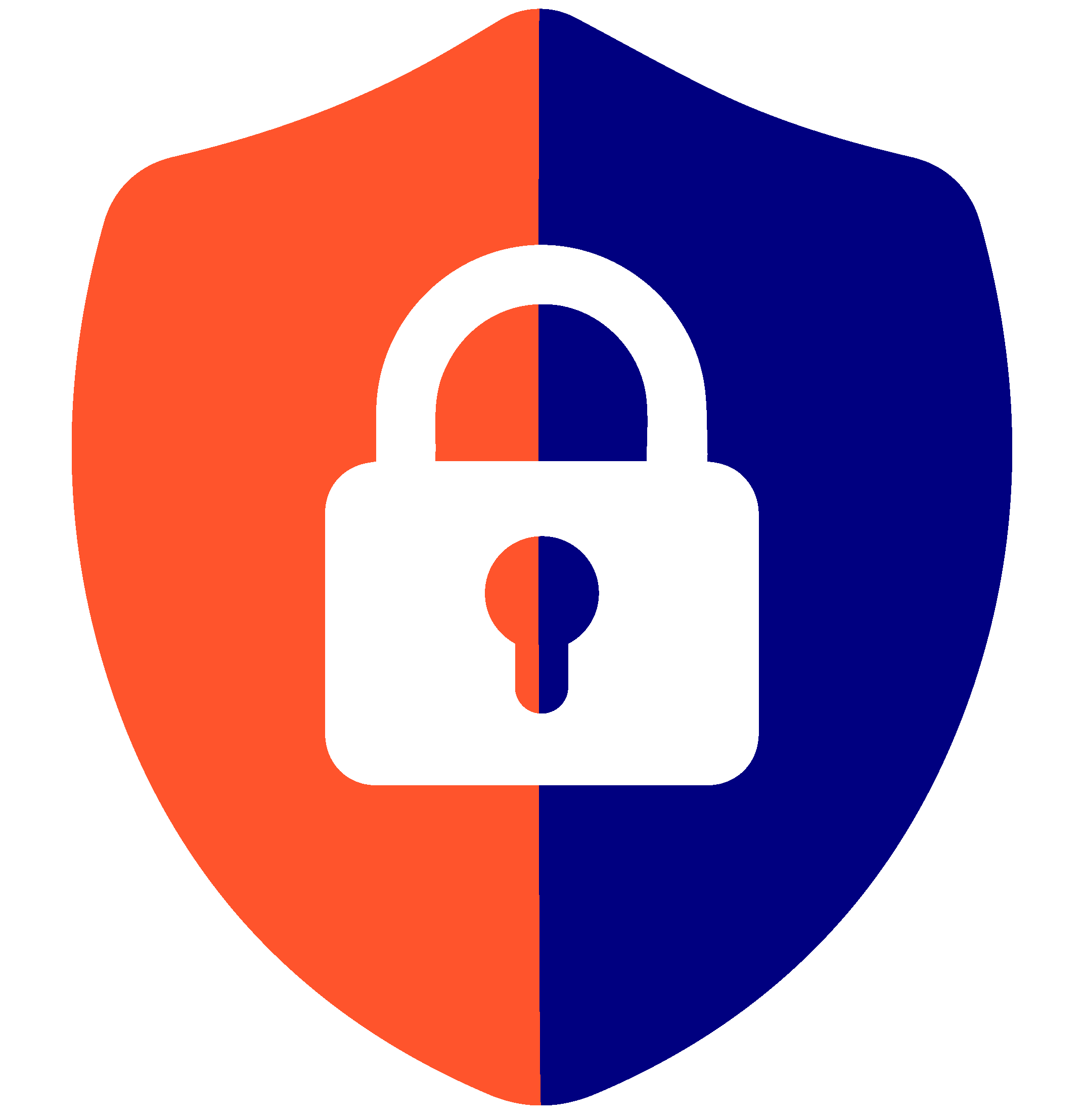 SEGURIDAD
